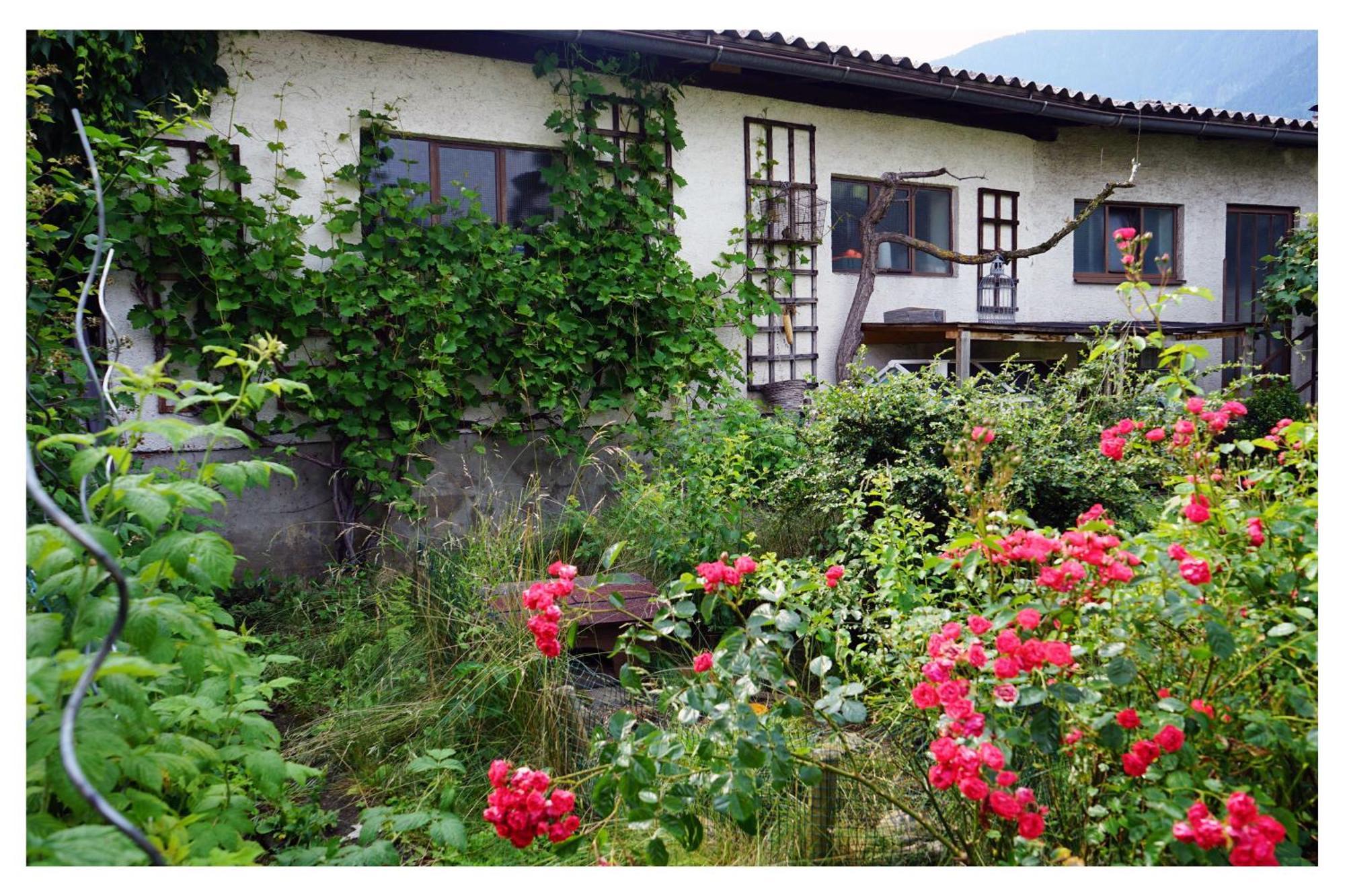 Ingrid'S Guesthouse Spittal Шпитал ан де Драу Екстериор снимка